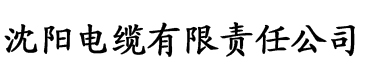 美女影院大香蕉影院电缆厂logo